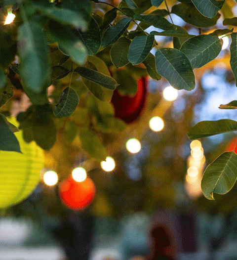 Un séminaire à la Pépinière