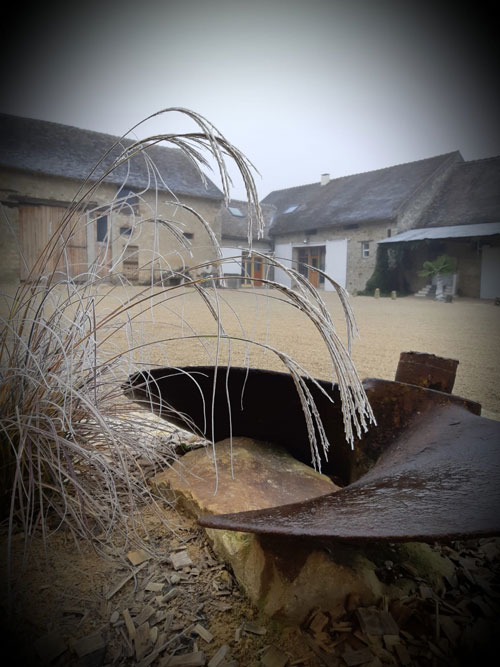 Un hiver a la pépinière-gite-mariage-team building