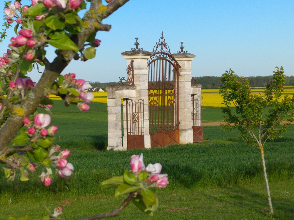 La pépinière, porte dans le champs